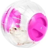 Hamster Running Ball