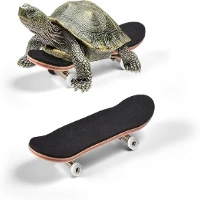 Turtle Skateboard