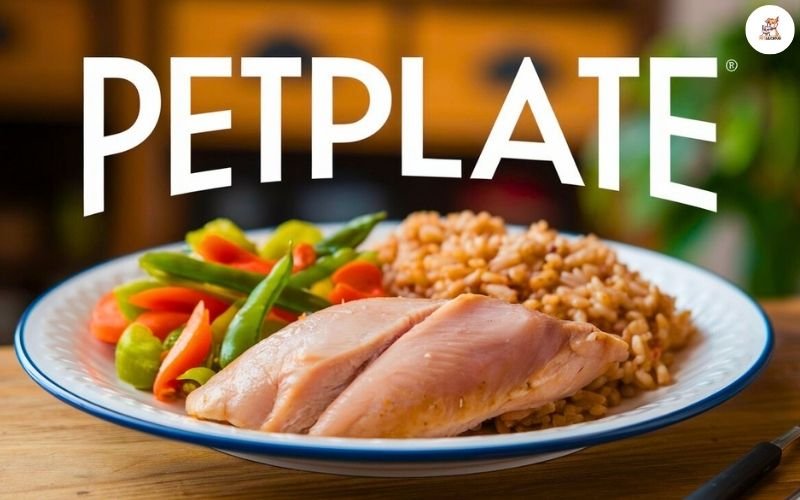 Petplate dog food