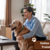 Online Dog Training