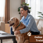 Online Dog Training