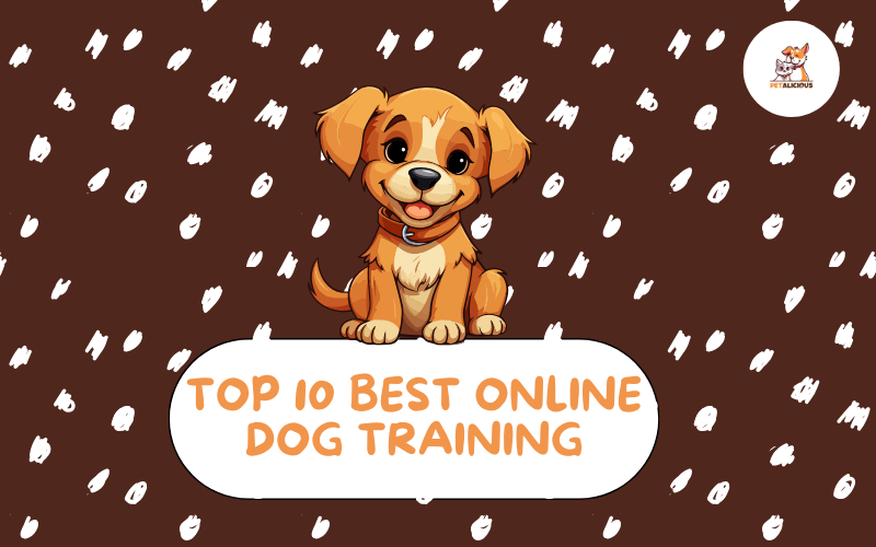 Online Dog Training