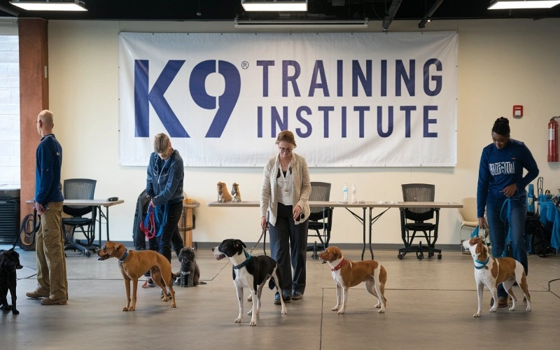 K9 Training Institute