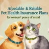 Pet Health Insurance